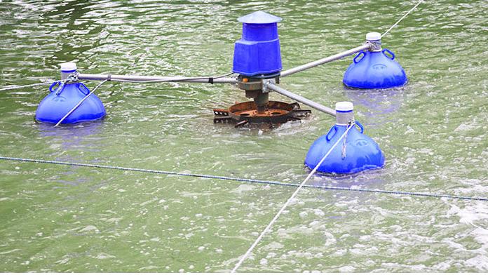 Aérateur commercial 3HP pour b - Fish Pond Aerator avis et prix