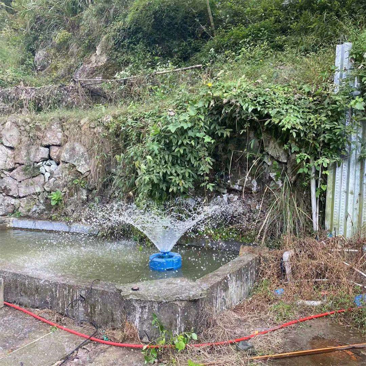 Aérateur solaire avec pompe d' - Fish Pond Aerator avis et prix